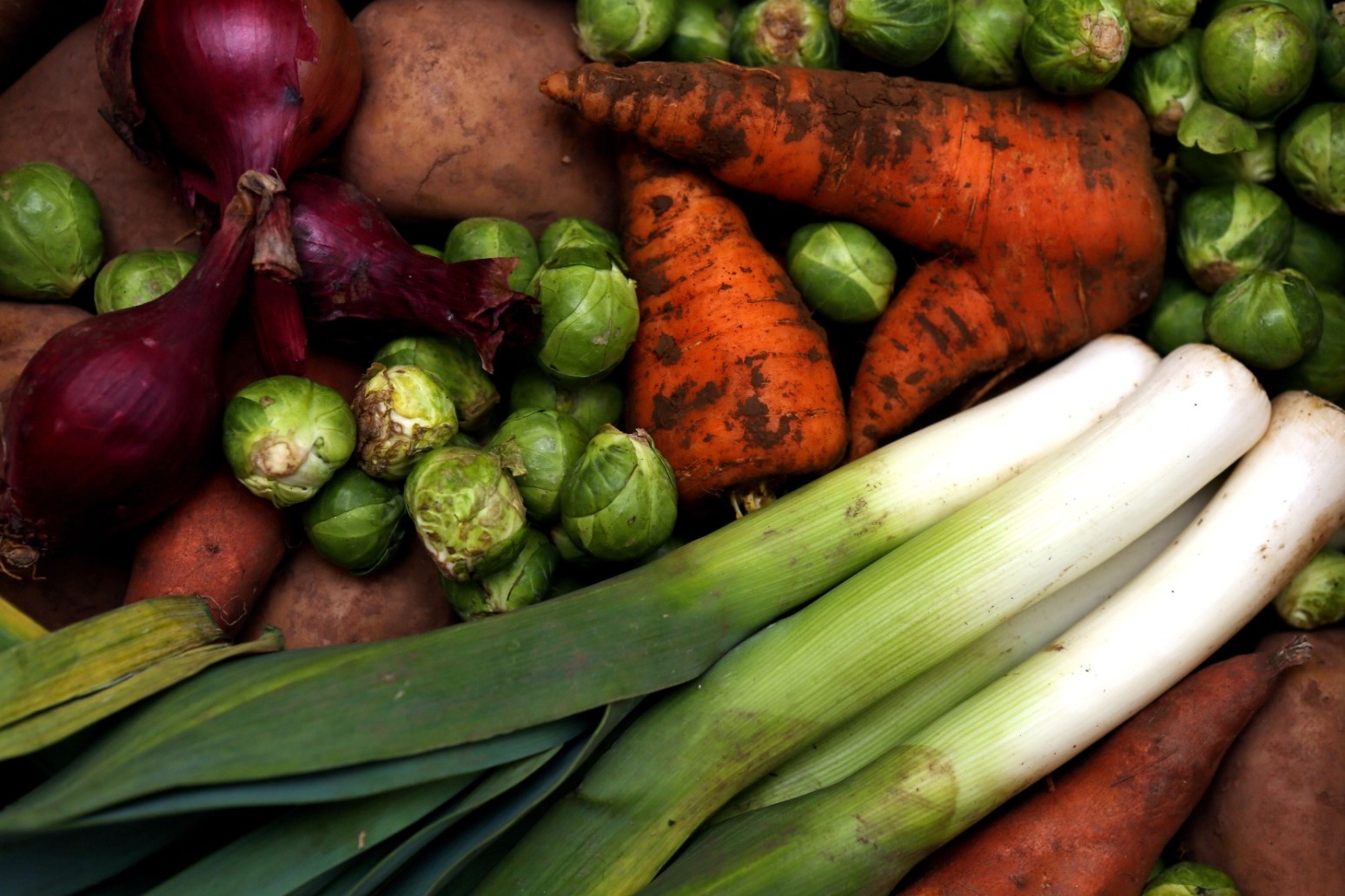 Vegan diets produce quarter of high-meat diets’ greenhouse gases – study