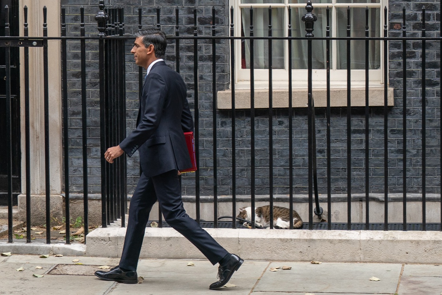 Rishi Sunak promises to ban ‘dangerous’ XL bully dogs by end of the year