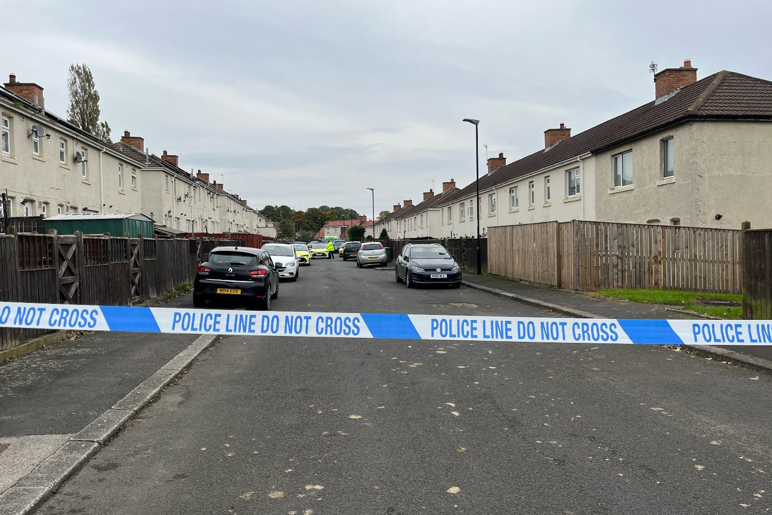 Murder investigation launched after fatal ‘XL bully’ attack