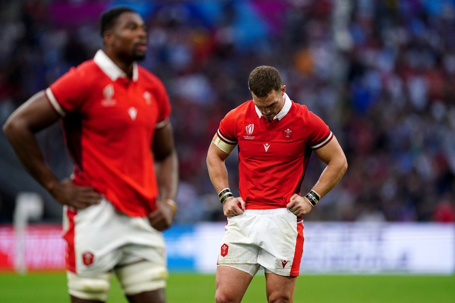 Argentina knock Wales out of Rugby World Cup
