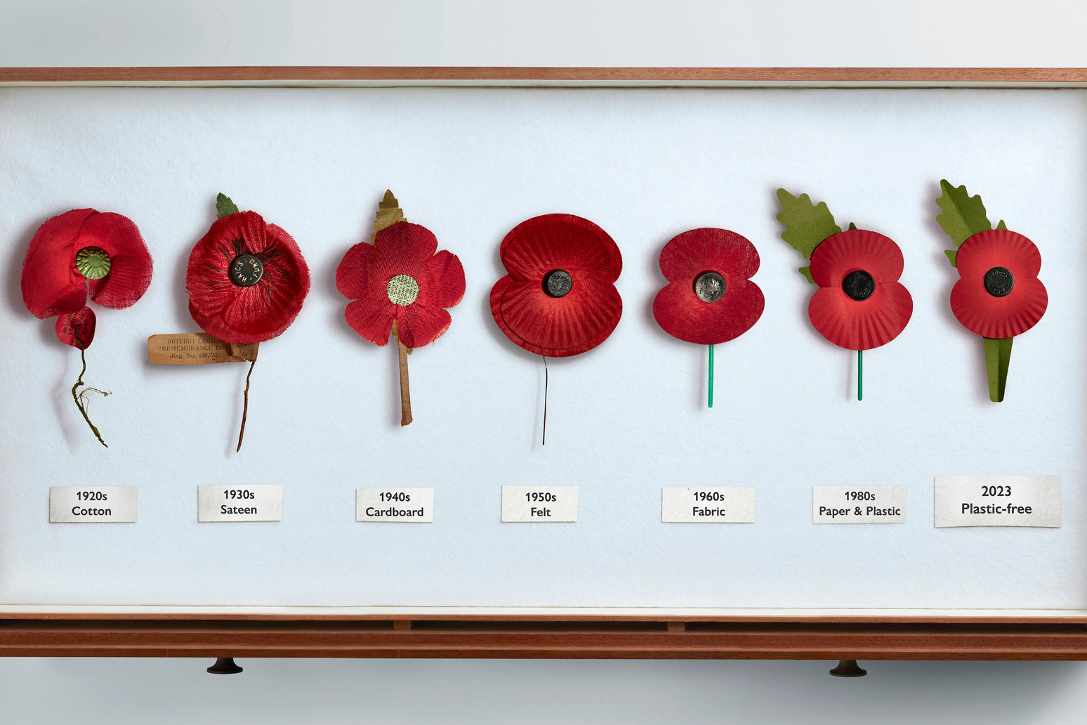 Remembrance poppies to be plastic-free this year in major redesign