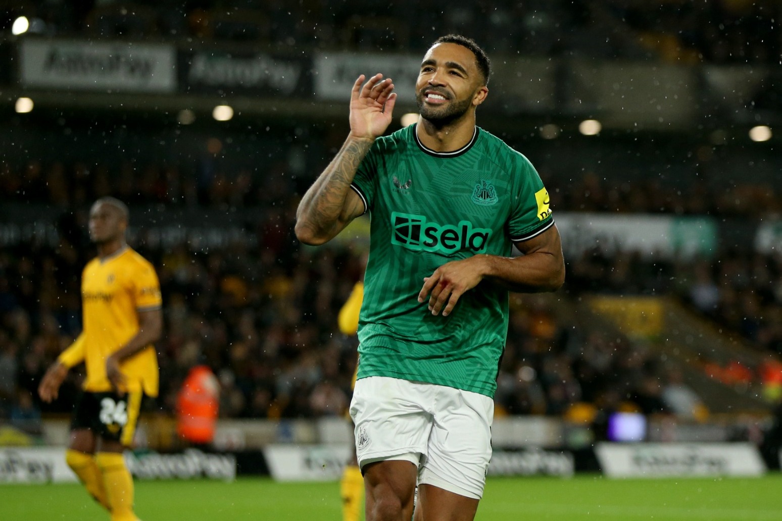 Callum Wilson pulls out of England squad with hamstring injury