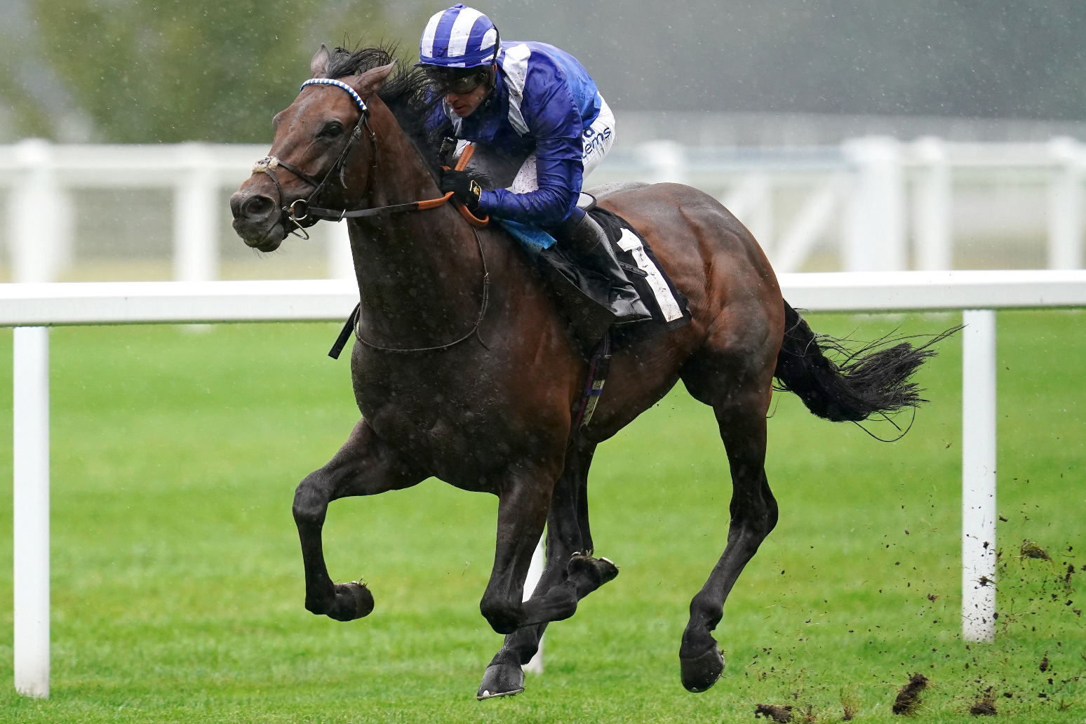 Burrows eyeing Hong Kong Vase option for Hukum