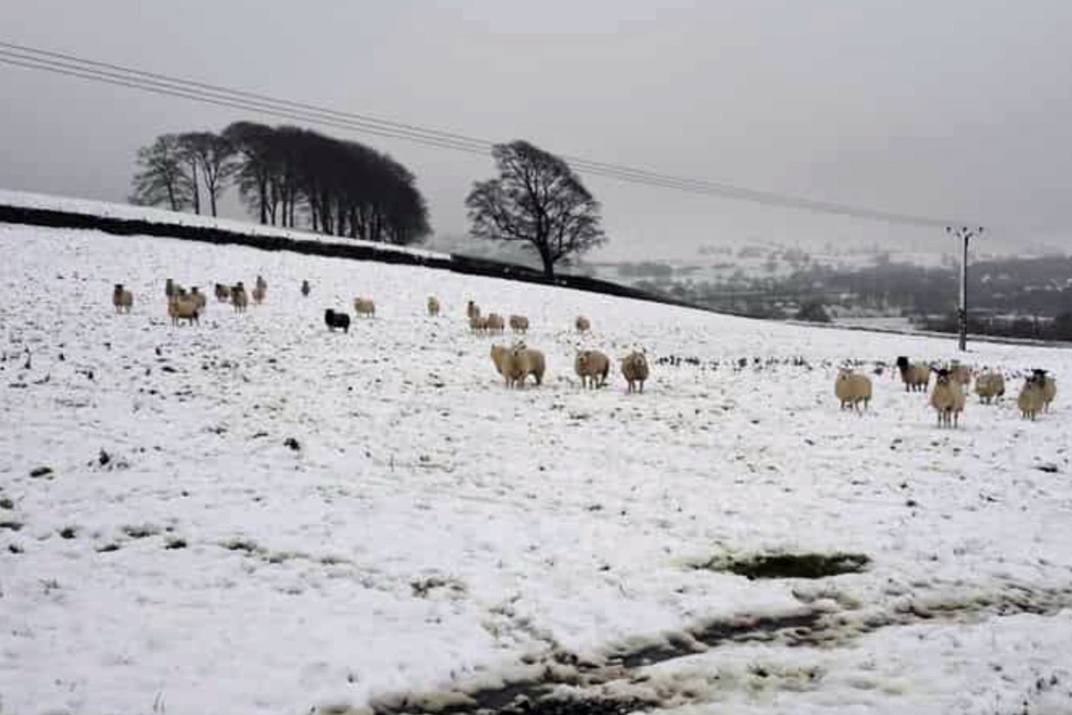 Households urged to take steps to prevent frozen pipe damage this winter