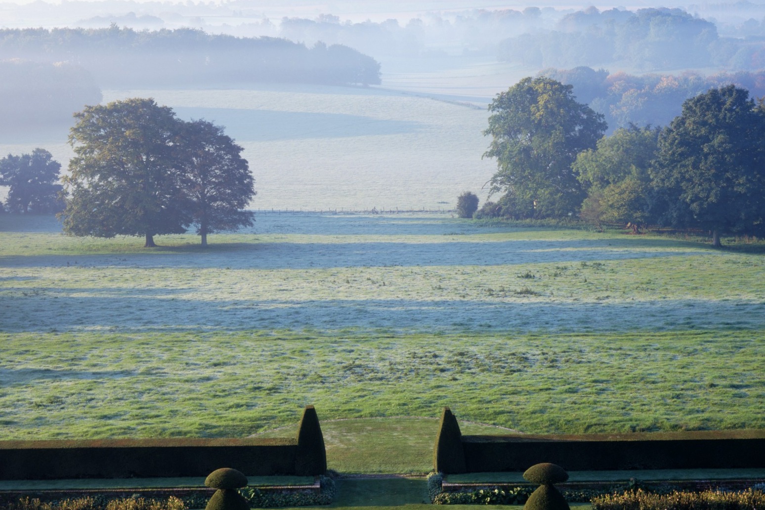 National Trust unveils plans to restore tree-lined avenues at stately homes