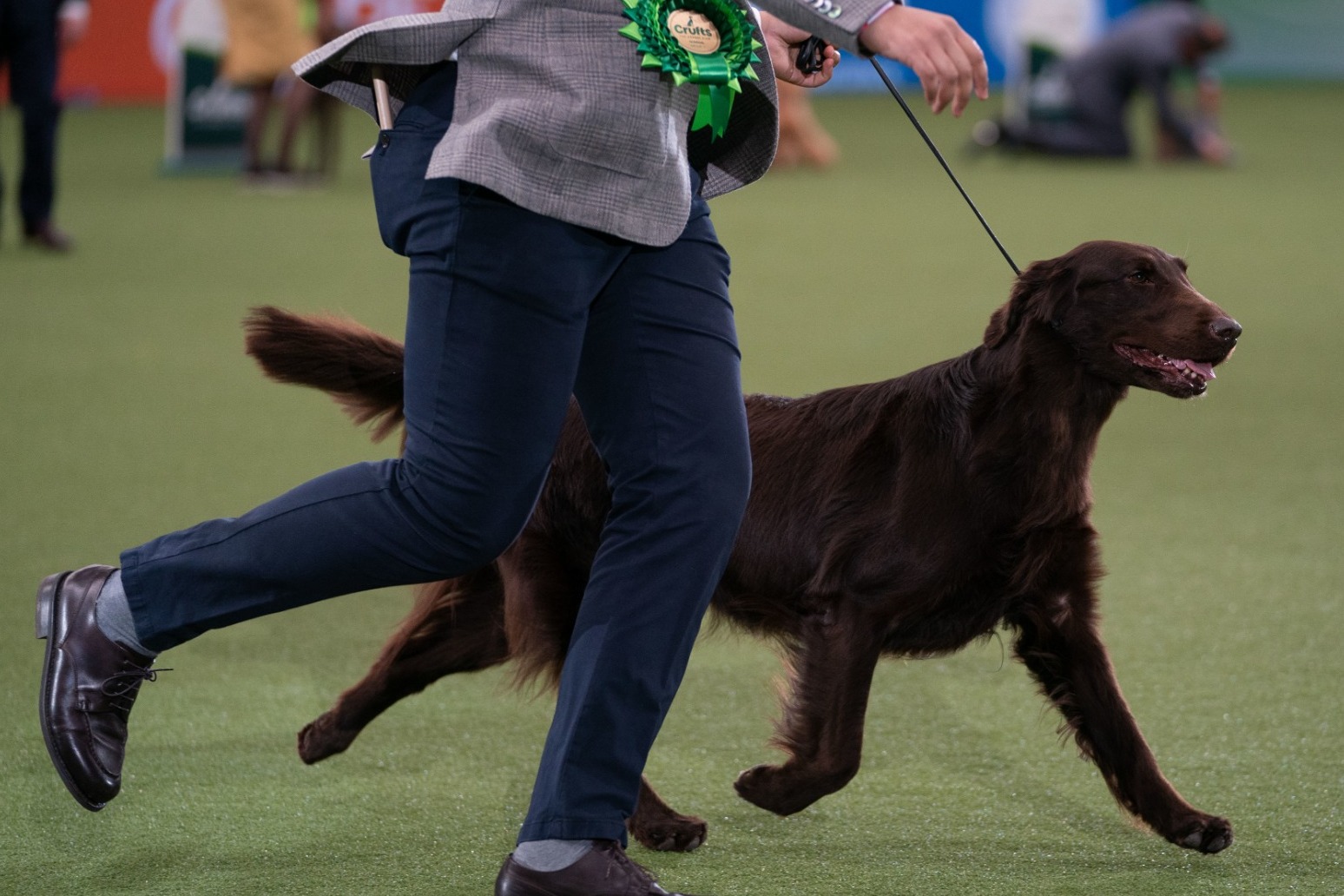 Argentinian man accused of murdering Crufts dog breeder dies ahead of trial