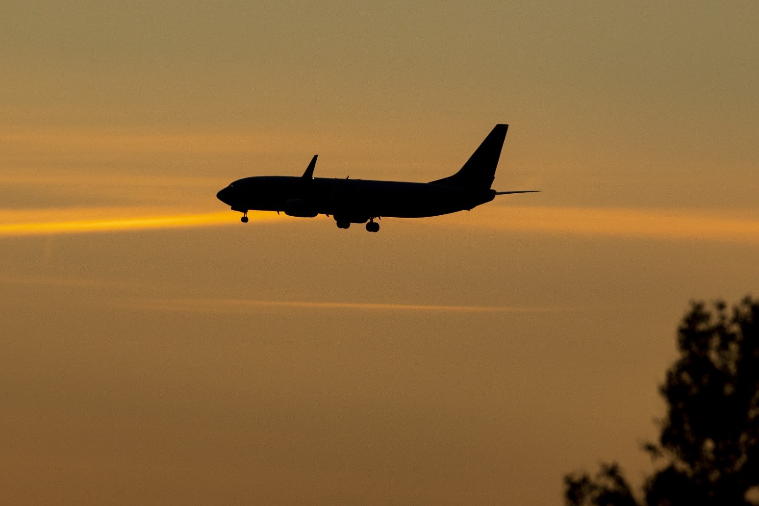 Heathrow caps passenger numbers amid travel chaos