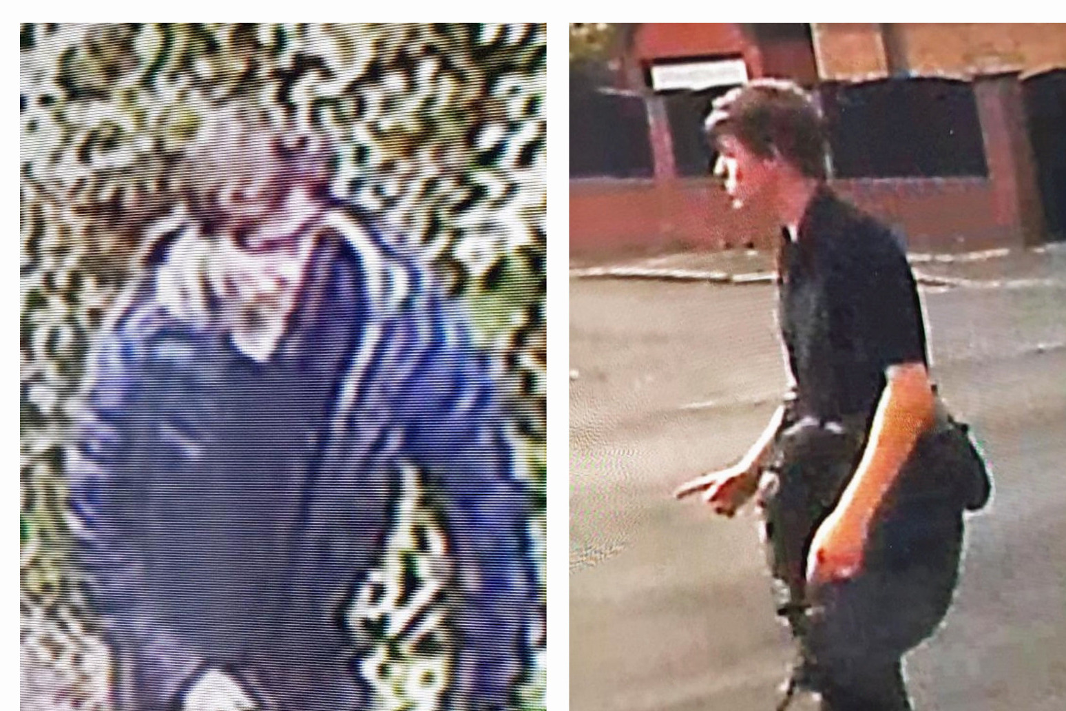 Police appeal to find man after alleged abduction and sexual assault of girl