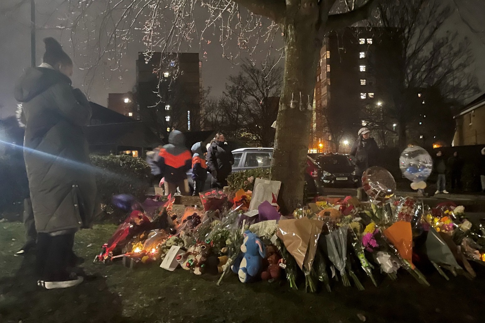 Boy fights for life after frozen lake tragedy in Solihull