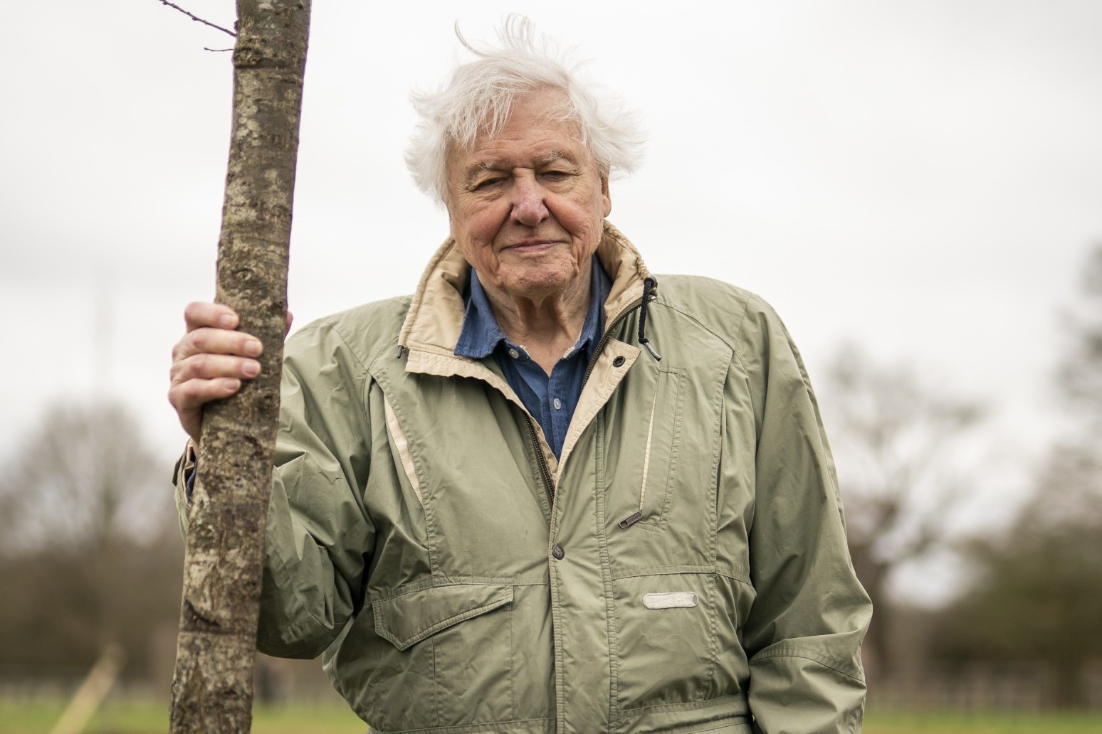 Sir David Attenborough warns we have a few short years left to fix natural world