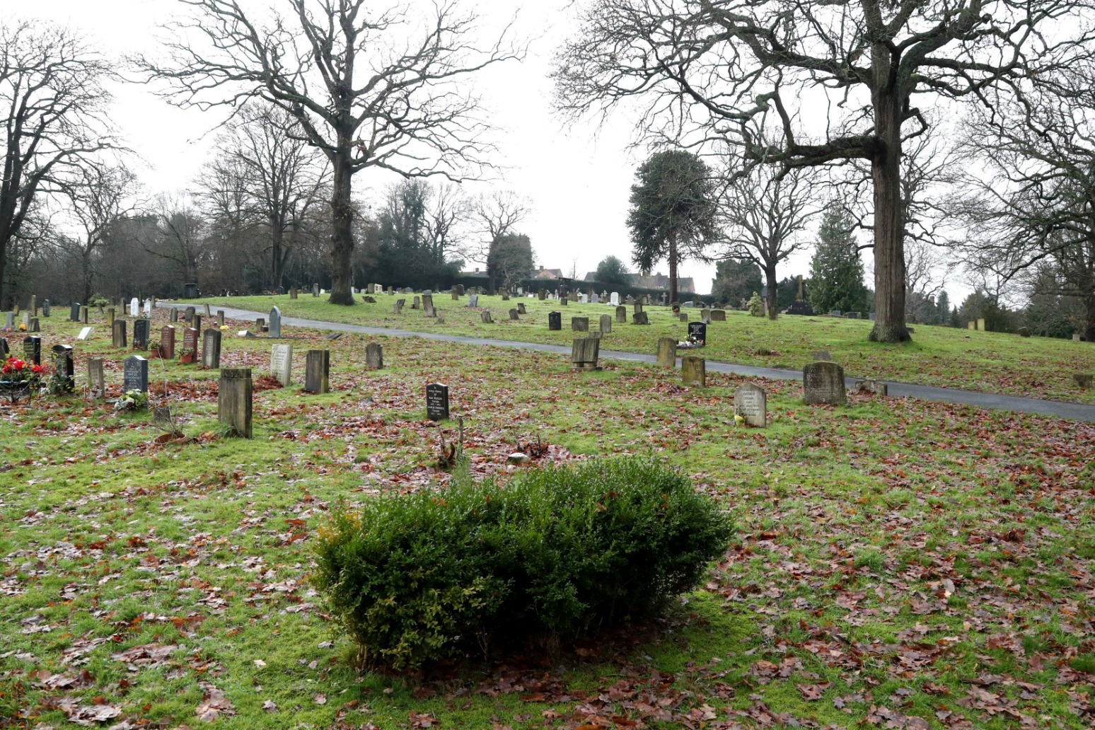 VICTIM IN HEADLESS TORSO MURDER PROBE STILL UNKNOWN 28 YEARS ON