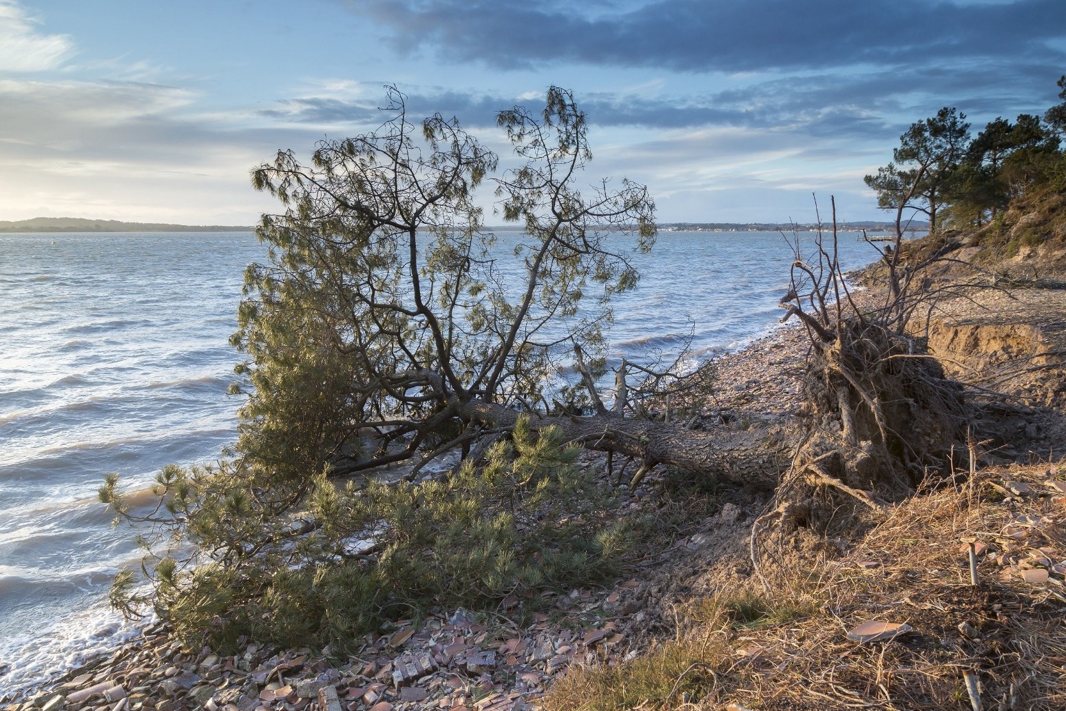 National trust warns 73% of special natural sites threatened by climate change