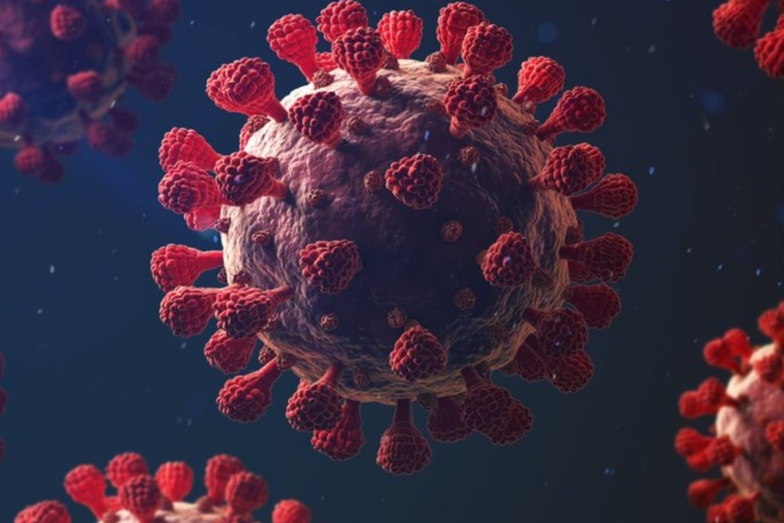 US approaches coronavirus death toll of 500,000