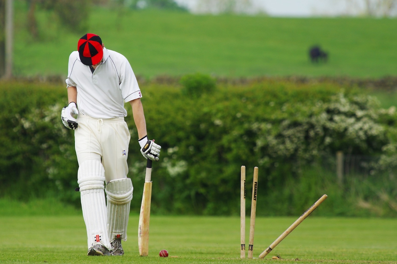 Giles replaces Strauss as England\'s new director of cricket