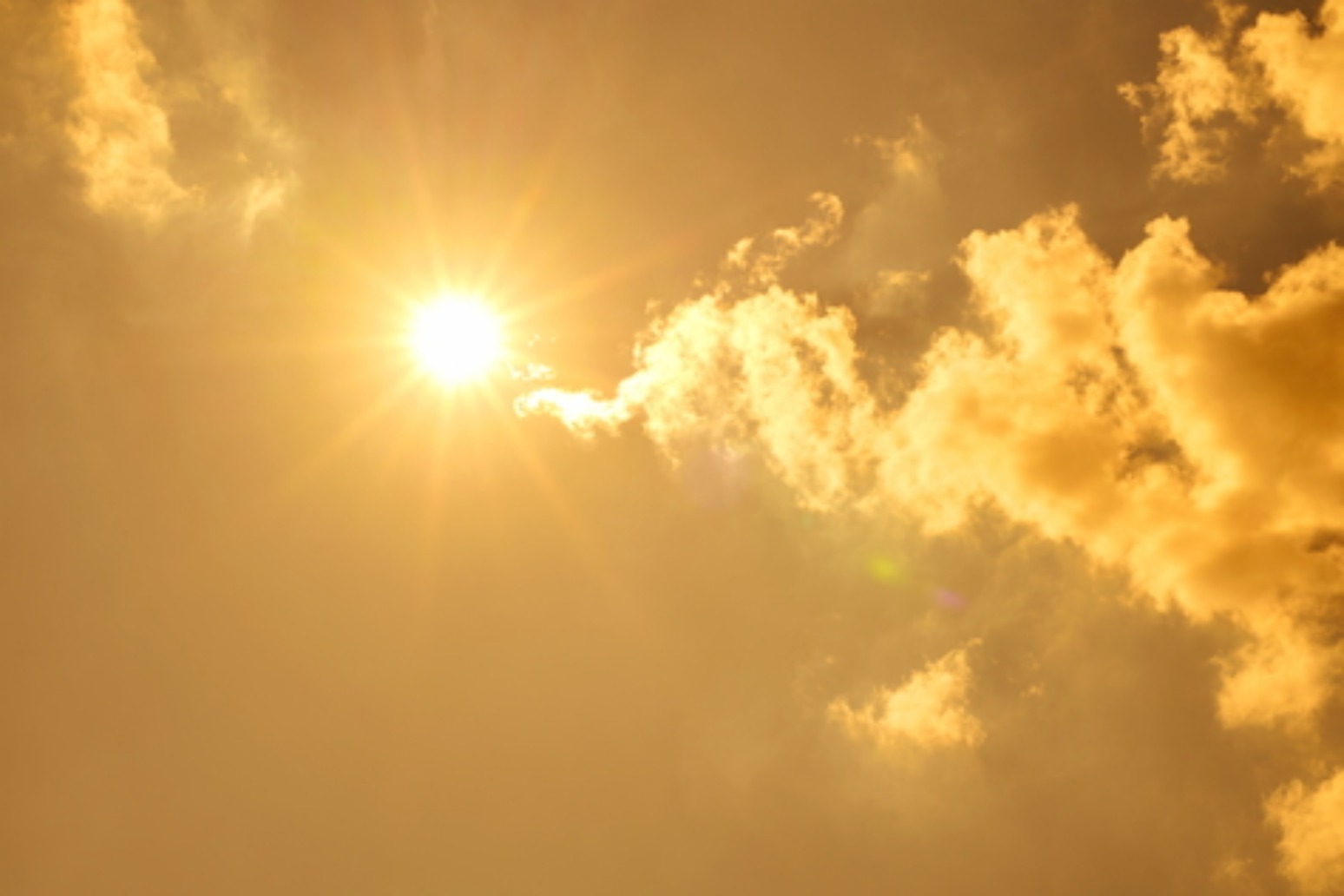 September hottest on record by ‘extraordinary amount’, says WMO
