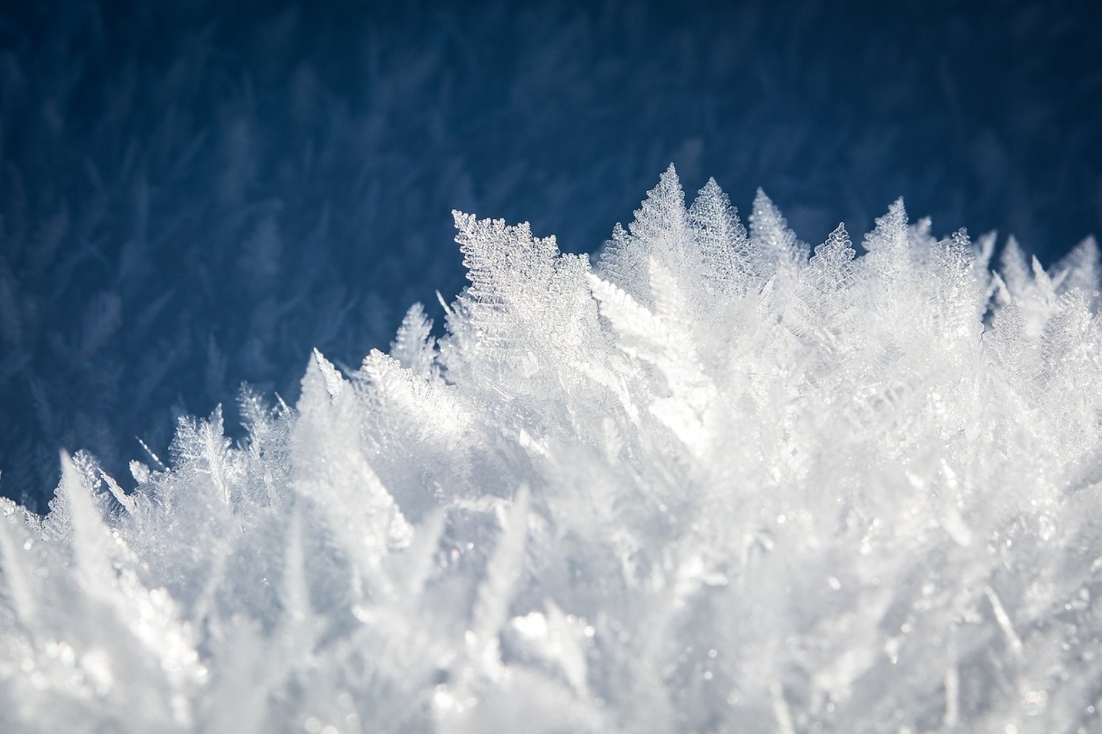 The US experiences a big freeze.