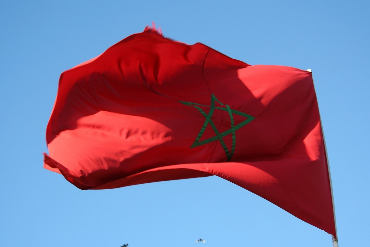 British national dies of rabies after cat bite in Morocco