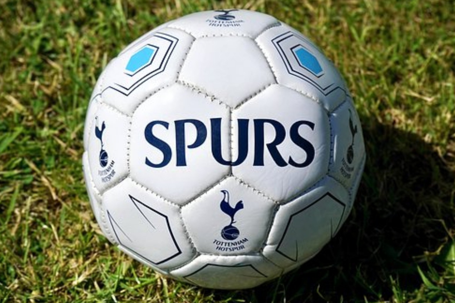 Kane to be sidelined for two months