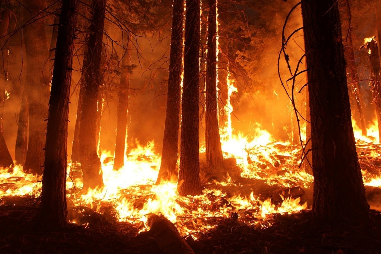 Toll of dead, missing rises in wildfire
