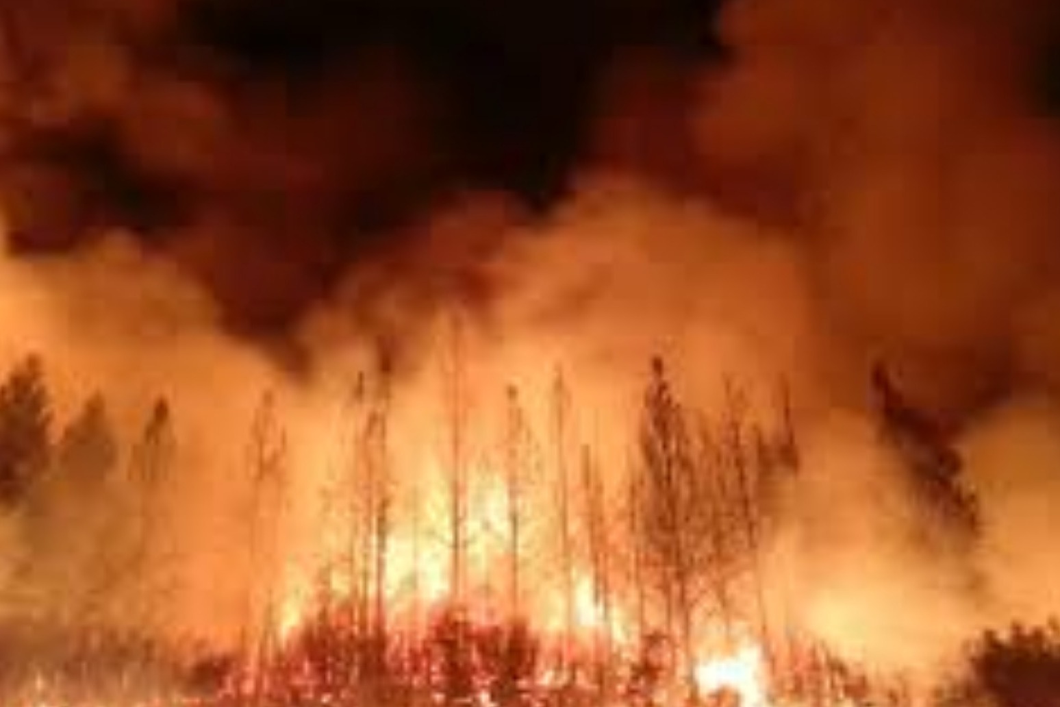 Massive wildfire becomes largest in California history